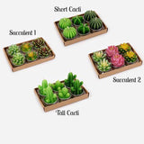 Set of 6 Succulent/Cacti TeaLight Candles - 4 Varieties