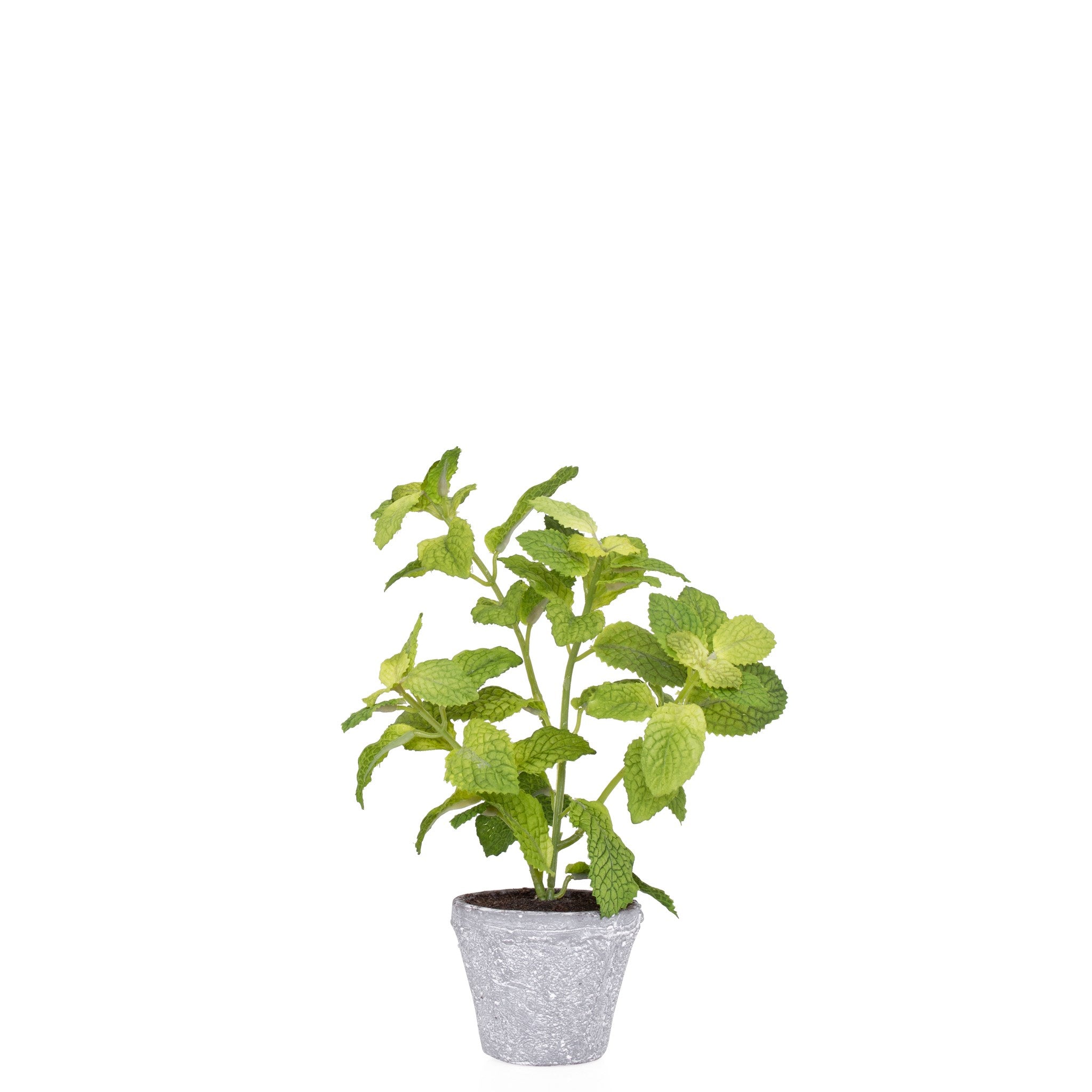 Provence Rustic Potted Faux Mint Herb Plant