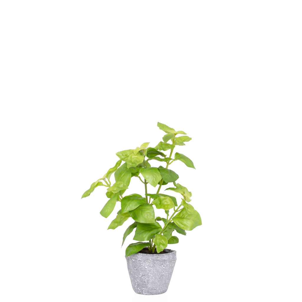 Provence Rustic Potted  Faux Green Basil Herb Plant