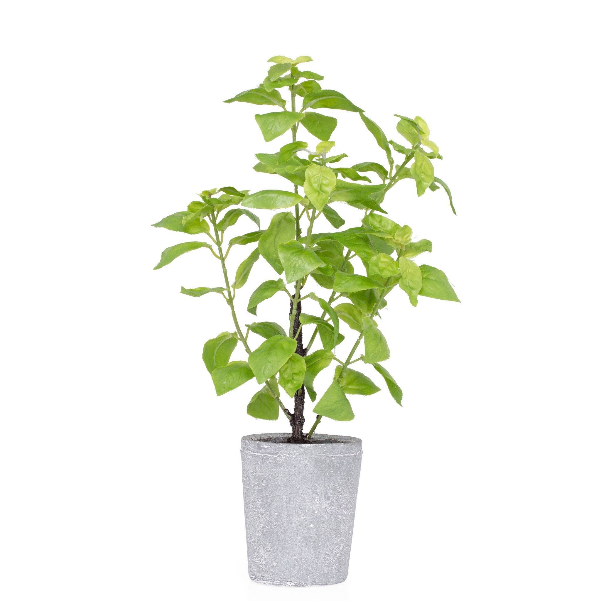 Provence Rustic Potted  Faux Green Basil Herb Plant