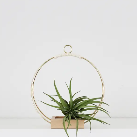 Copper Wire & Wood Plant Hanger - 3 Sizes