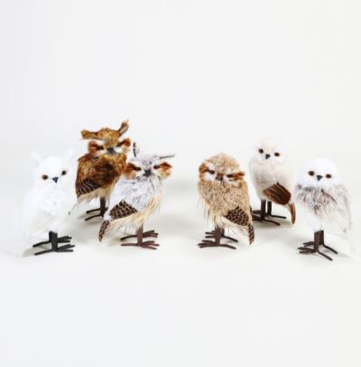 Arctic Owl - Large 6 Styles