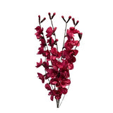 Wine Bunch 7 Shola Orchid Branch