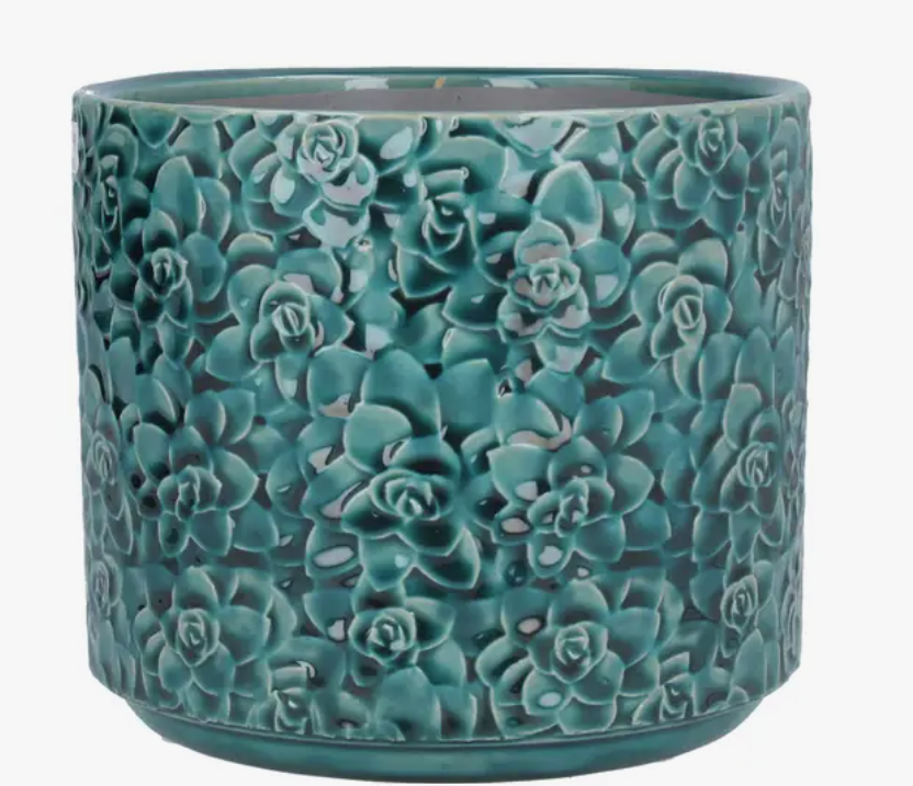 Teal Succulents Ceramic Pot - 3 Sizes