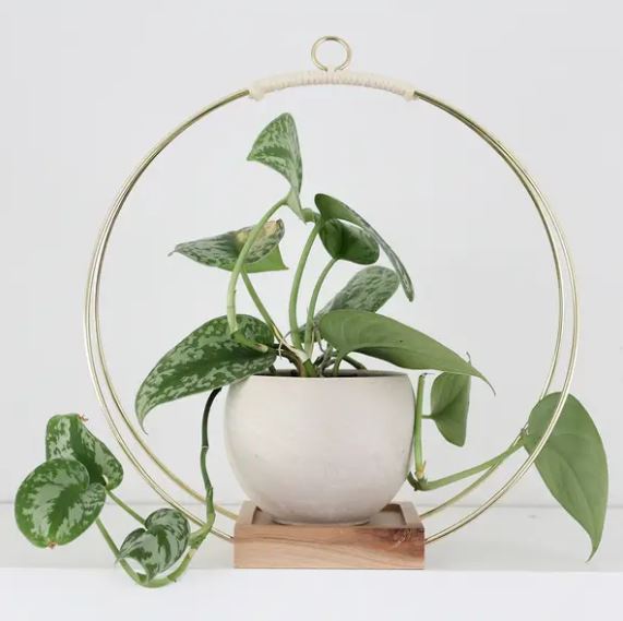 Copper Wire & Wood Plant Hanger - 3 Sizes