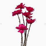 6 Stem Cosmos Flower Branches