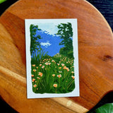 Dr Franken Sara Prints - 16 Styles/2 Sizes