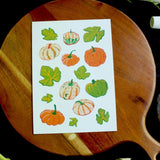 Dr Franken Sara Prints - 16 Styles/2 Sizes