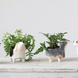 Hand-Painted Ceramic Dog Planter - 4 Styles