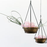 Jaco Hanging Planter - 2 Sizes