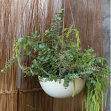 Meja Hanging Planter