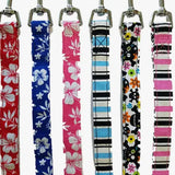 Canvas Leashes - 4 Styles