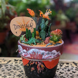 TANSY - Garden To-Go Kit