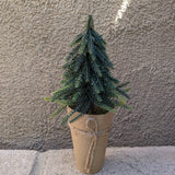 Artificial Tree with Paper Wrapped Pot - 6 Styles