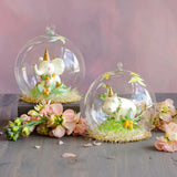 Pongo & Bongo Dome Ornament, 2 Styles
