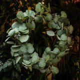 Faux Eucalyptus Wreath