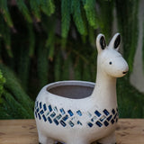 Tulum Animal Planters - 3 Styles