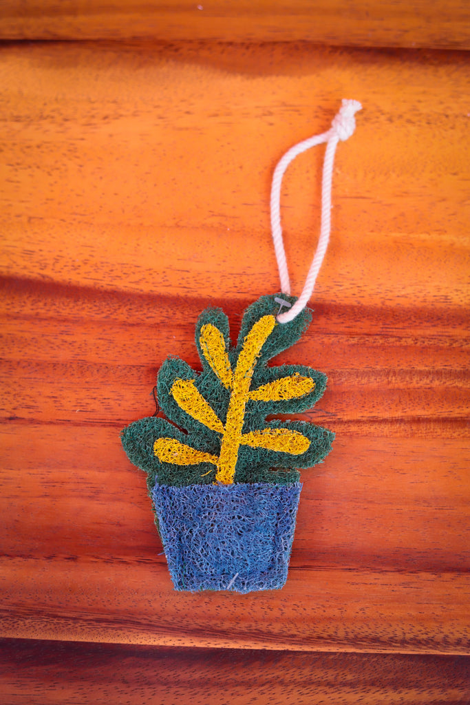 Potted Plant Loofah Scrubber