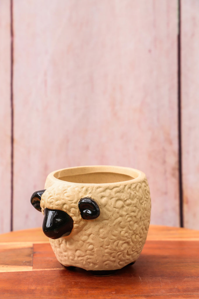 Farm Animal Plant Pot - 4 Styles