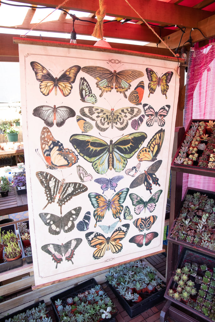 Canvas & Wood Scroll Wall Decor with Butterflies & Jute Hanger