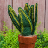 Felt Snake Plant