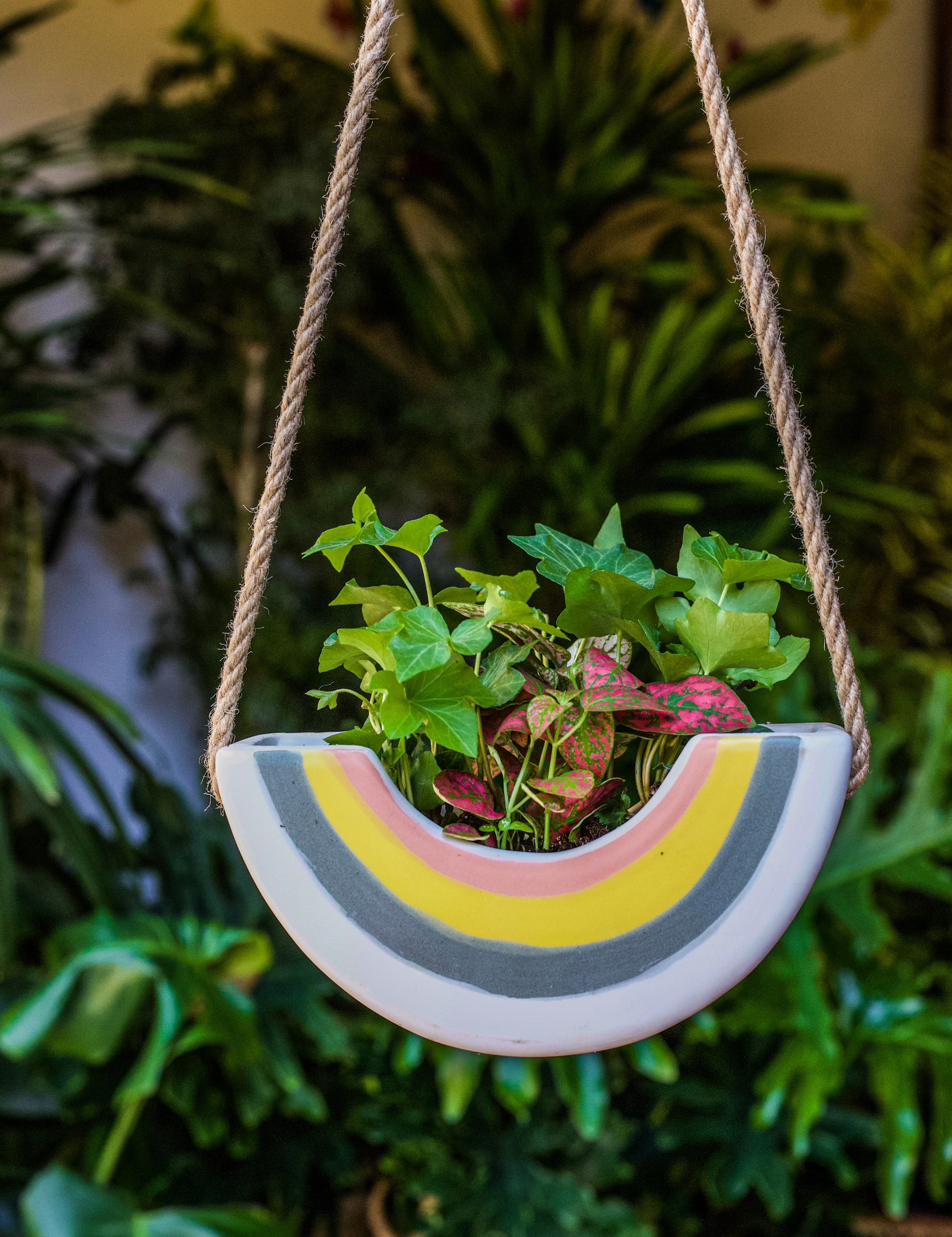 Rainbow Hanging Planter - 2 Sizes
