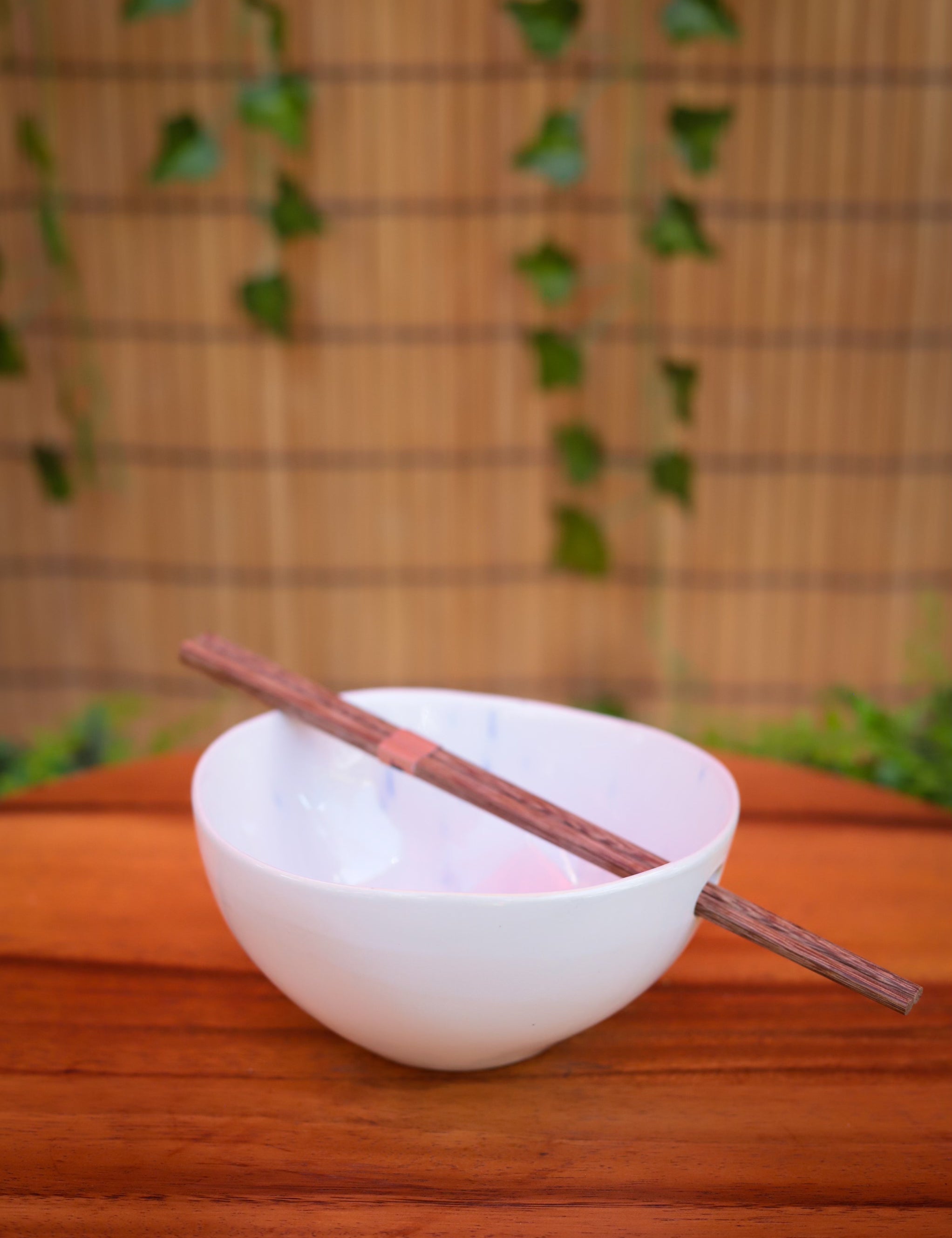 Noodle Bowl and Chopstick Set - 9 Styles
