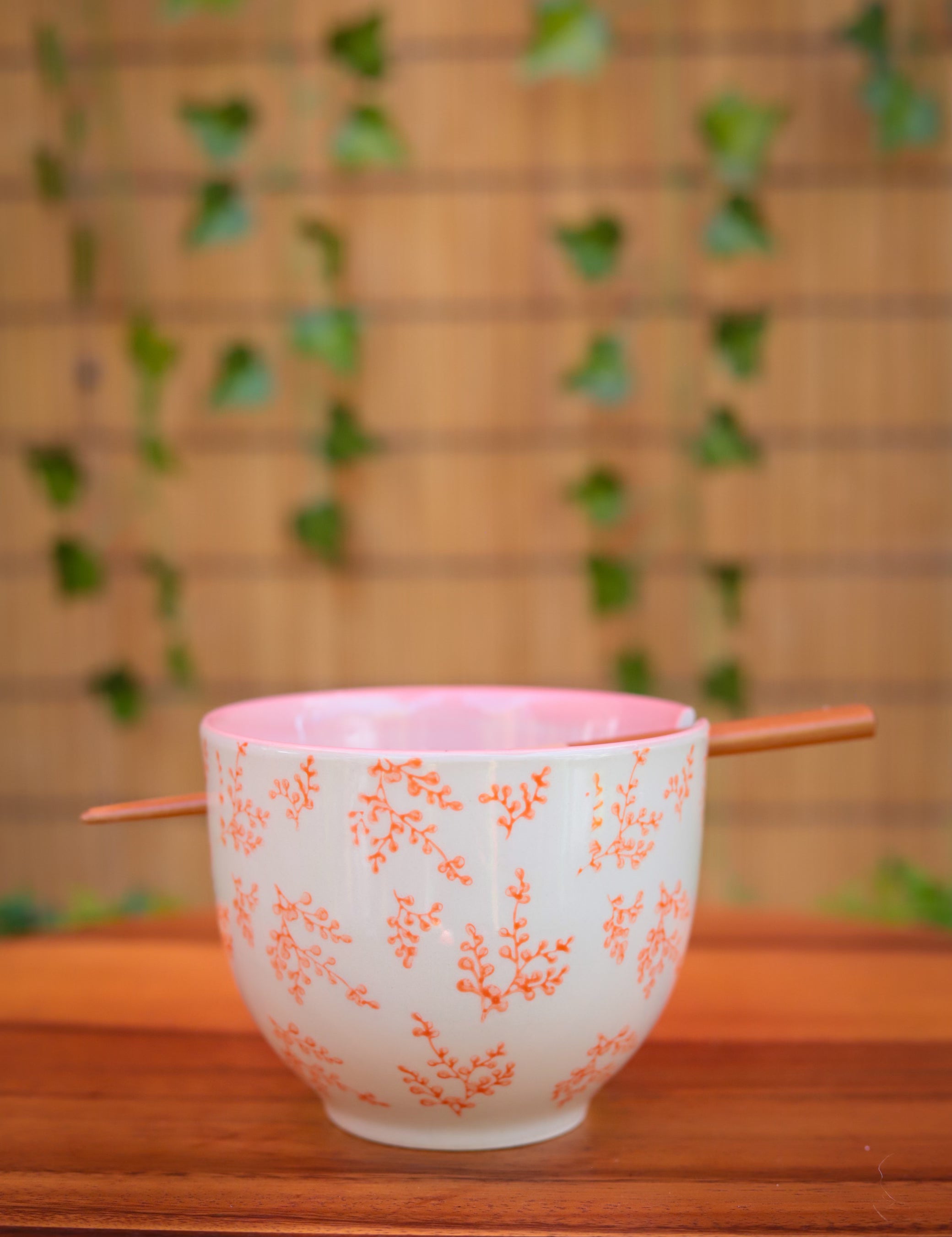 Noodle Bowl and Chopstick Set - 9 Styles