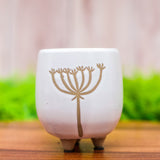 Umbel Footed Pot - 2 Styles