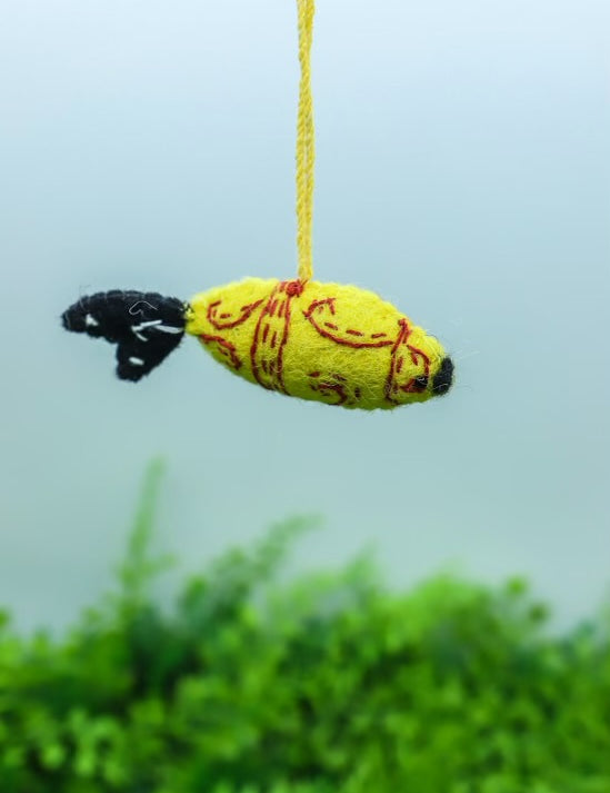 Felt Fish Ornament - 4 Styles