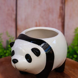 Panda Planter