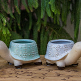 Turtle Planter - 3 Colors