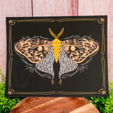Giclee Art Print - 2 Styles