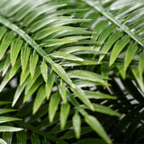 Faux Long Fern Swag
