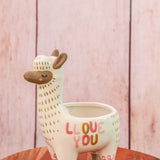 Fuzzy Feelings Animal Planters - 3 Styles