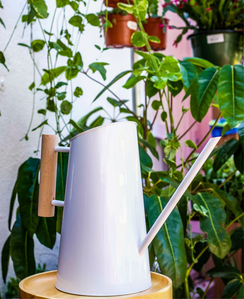 Preston Watering Can - 2 Sizes/2 Colors