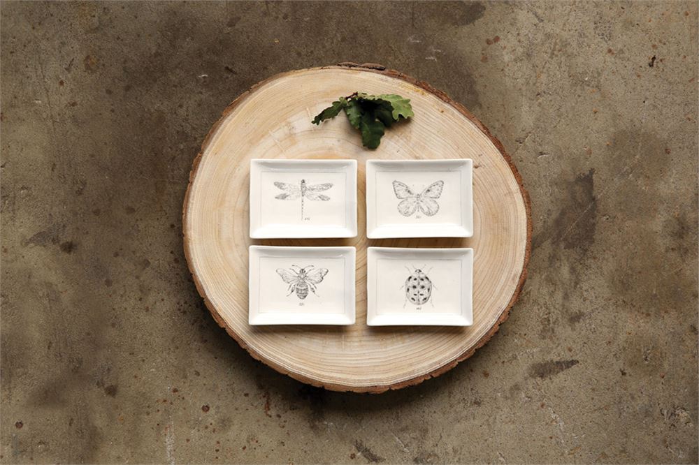 Insect Dishes - 4 Styles