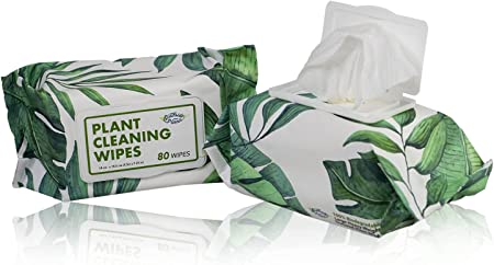 Southside Plants Cleaning Wipes